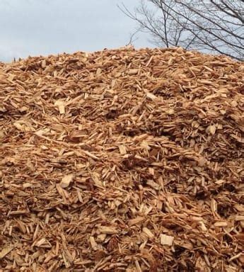 Eco-Answers from the Pros: Using Wood Chips as Mulch - Ecological ...