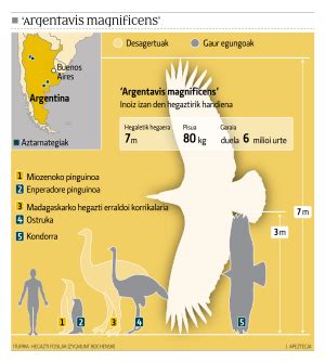 Argentavis Facts for Kids