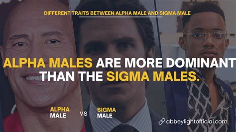 Sigma Male vs Alpha Male: 10 Differences and Traits