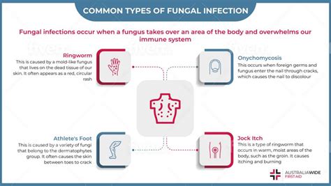 Fungal Infection Fact Sheet