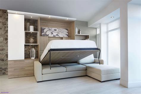 Discover additional relevant information on "murphy beds". Check out ...