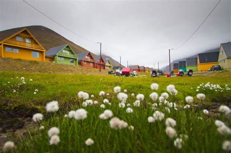 Best Time to Visit Svalbard | Svalbard Weather | Discover the World