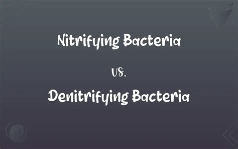 Nitrifying Bacteria vs. Denitrifying Bacteria: What’s the Difference?