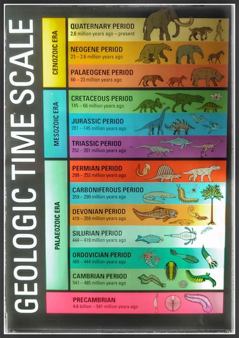 Geologic Time Scale » Geology Science