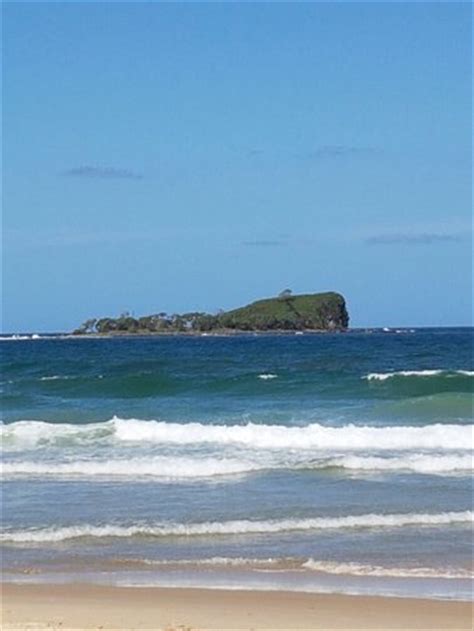 Mudjimba Beach Holiday Park - UPDATED 2017 Campground Reviews (Sunshine ...