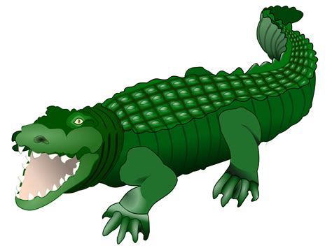 Crocodile Transparent Images PNG - PNG Mart