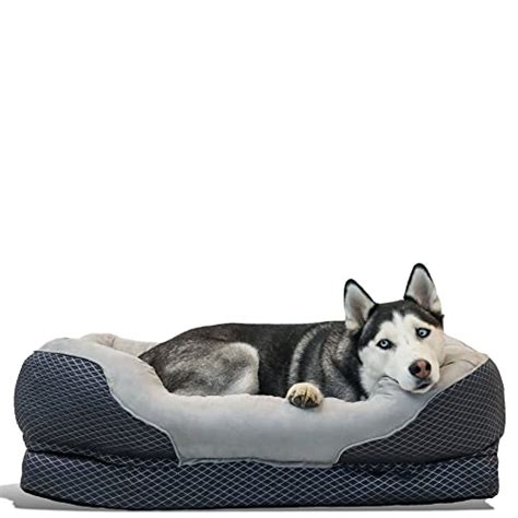 What Beds Fluffy Use? | 10 Best Beds For Bulldogs - Dog Fluffy