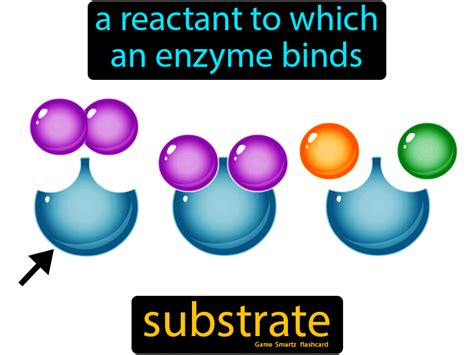 Substrate definition: A reactant to which an enzyme binds. Nucleic Acid ...