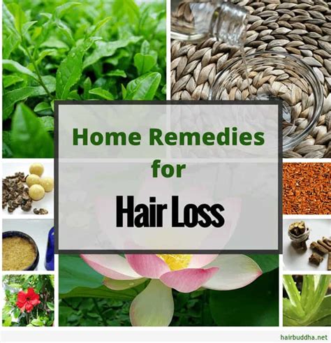 Top 48 image natural remedies for hair loss - Thptnganamst.edu.vn