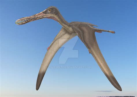 Cearadactylus by paleopeter on DeviantArt