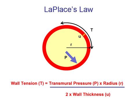 31. Ventricular wall tension and the Laplace relationship – greek.doctor