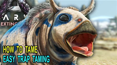 How to tame a gasbag