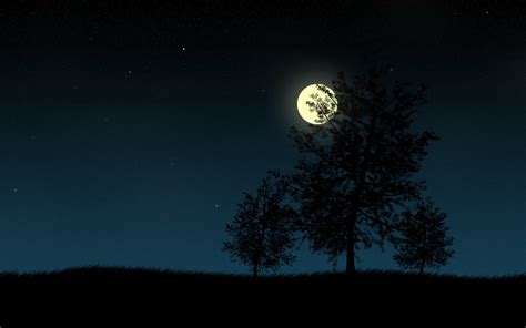 480x854 resolution | tall tree and full moon, Moon, trees, night HD ...