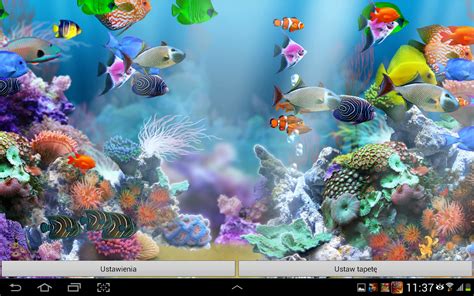 🔥 Free Download Aquarium Fish Game Wallpaper I Like by @melaniesteele ...