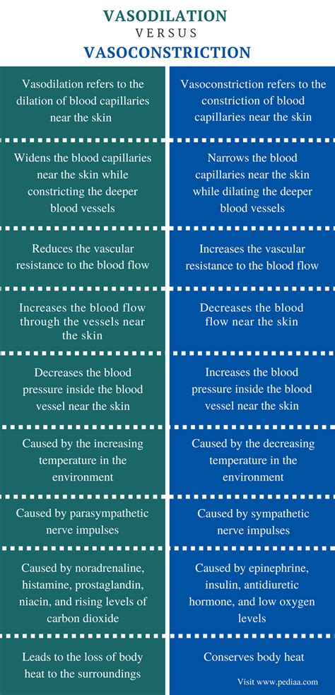 Difference Between Vasodilation and Vasoconstriction