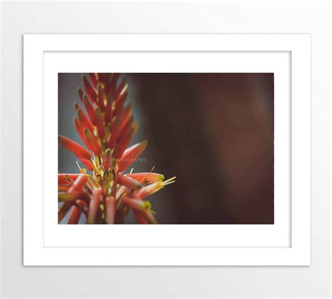 Hibiscus Print Puerto Rico Tropical Botanical Art Kitchen - Etsy