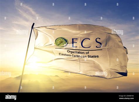 Organisation of Eastern Caribbean States OECS flag waving on the top ...