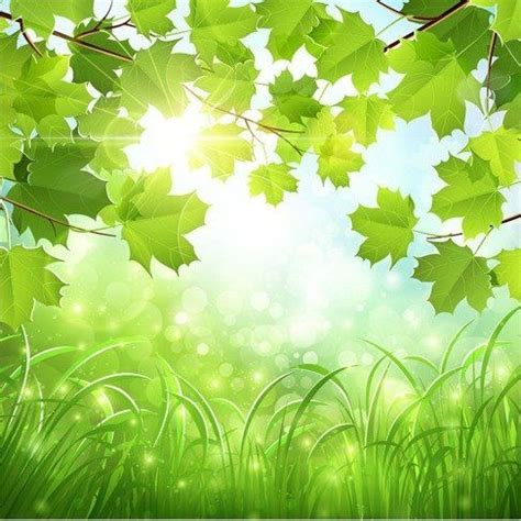 Green Natural Background | Natural background, Nature backgrounds, Free ...