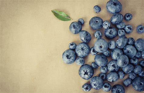 98 Blueberry HD Wallpapers | Background Images - Wallpaper Abyss