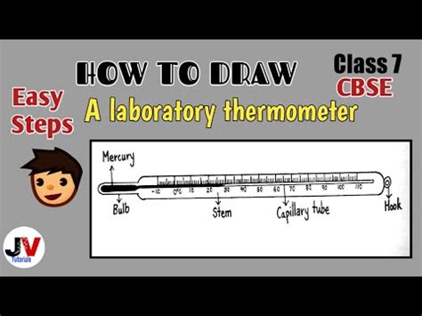 Labeled Diagram Of A Thermometer