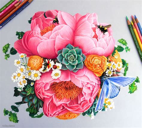 Best Colour Pencils for Drawing