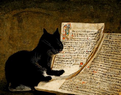 Cat reading a medieval manuscript and thinking about the future : r ...