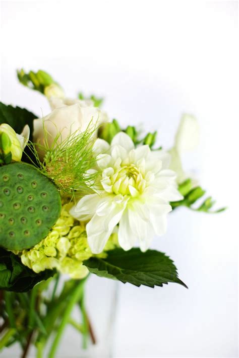 12 best White and Green Flowers images on Pinterest | Green flowers ...