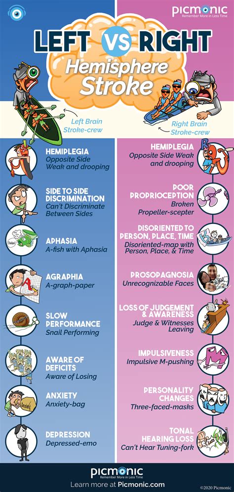 Left vs Right Hemisphere Stroke | Right hemisphere stroke, Nursing ...