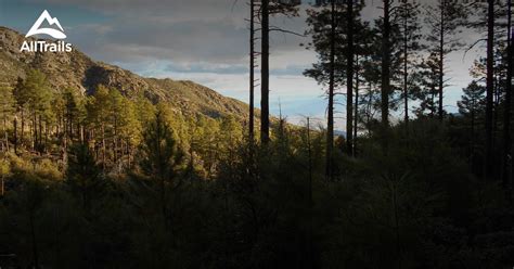 Best trails in Mount Graham Wilderness, Arizona | AllTrails