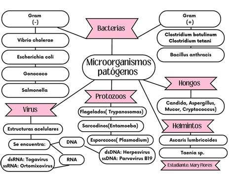 Microorganismos Patógenos | MARY GREISE FLORES GARCIA | uDocz