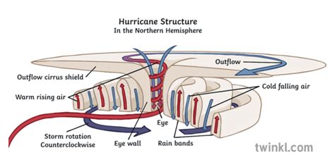 Hurricane Structure Diagram