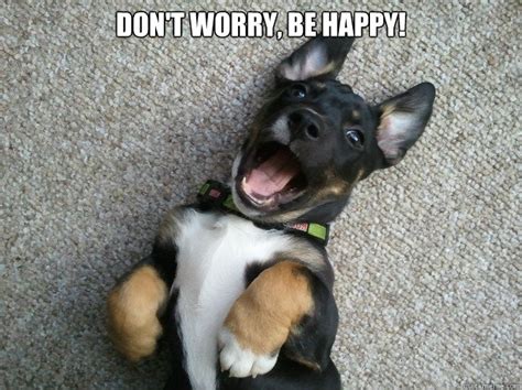 Don't worry, be happy! - Happy Puppy - quickmeme