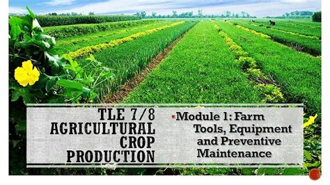 TLE 7/8 Agricultural Crop Production(ACP) Module 1: Farm Tools ...