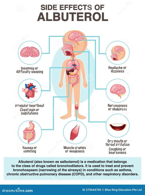 Human Anatomy Diagram Cartoon Style of Albuterol Side Effects Stock ...