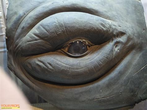 The Shallows Humpback Whale Eye original movie prop