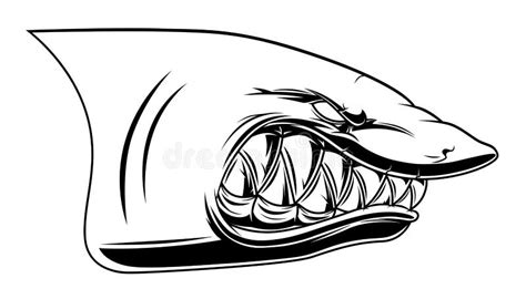 Cartoon Shark Head Drawing