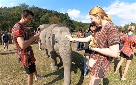 Ethical and Sustainable Elephant Sanctuary in Chiang Mai, Thailand ...