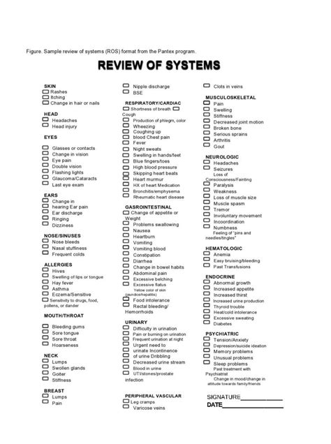 46 Free Review of Systems Templates (+Checklist) ᐅ TemplateLab