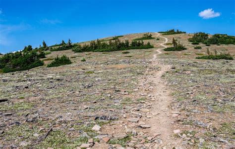 Bald Hills Trail Hike, Jasper National Park | Hike Bike Travel