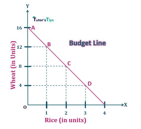 Consumer's Budget- Budget set and Budget Line - Tutor's Tips