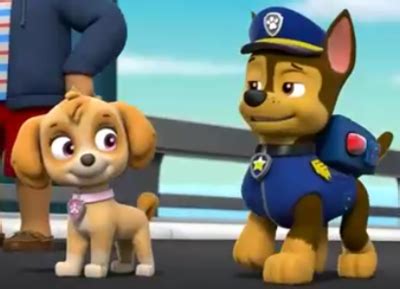 Chase and Skye wedding | Paw Patrol love stories Wikia | Fandom