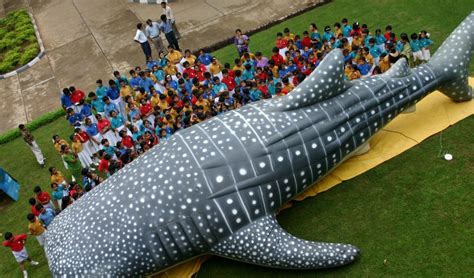 Whale shark and conservation status "EMPOWER IAS" | Empower IAS