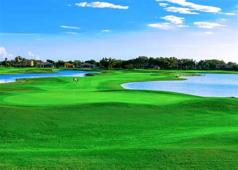 The 14 BEST public golf courses in Tampa, Florida