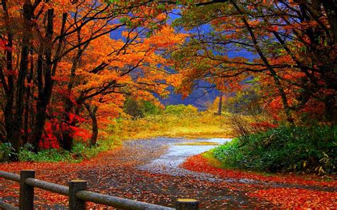 Fall Autumn Wallpapers - Wallpaper Cave