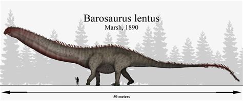 Titan of Titans: Barosaurus lentus by RhysDylan01