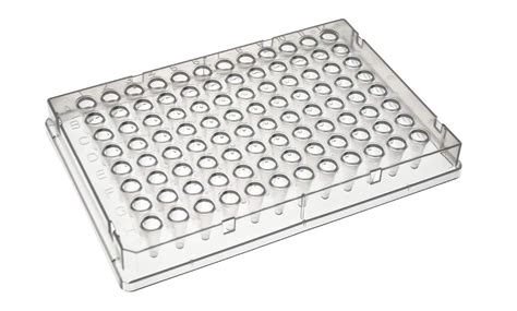 EarthOx PCR Plate 96 Well - Full-Skirt (10 Plates) : Amazon.in: Home ...