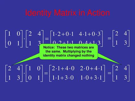 PPT - Identity and Inverse Matrices PowerPoint Presentation, free ...