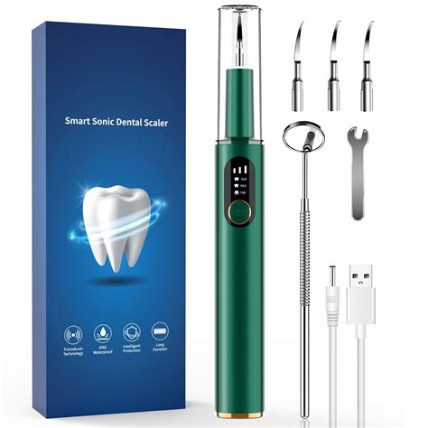 Electric Rechargeable Plaque Remover with LED Light - Teeth Cleaning ...