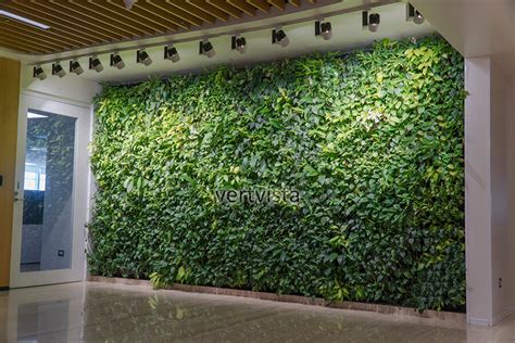 Indoor Vertical Gardens, Indoor Living Green Wall Experts