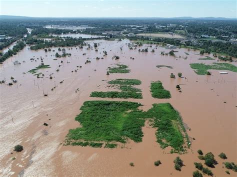 280 Trees, Shrubs To Be Planted As Part Of Flood Mitigation ...